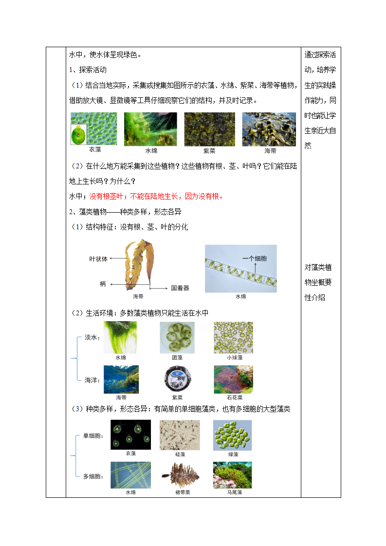 2.2 形形色色的植物（第1课时）（教学设计）-（浙教版）1102_04.png