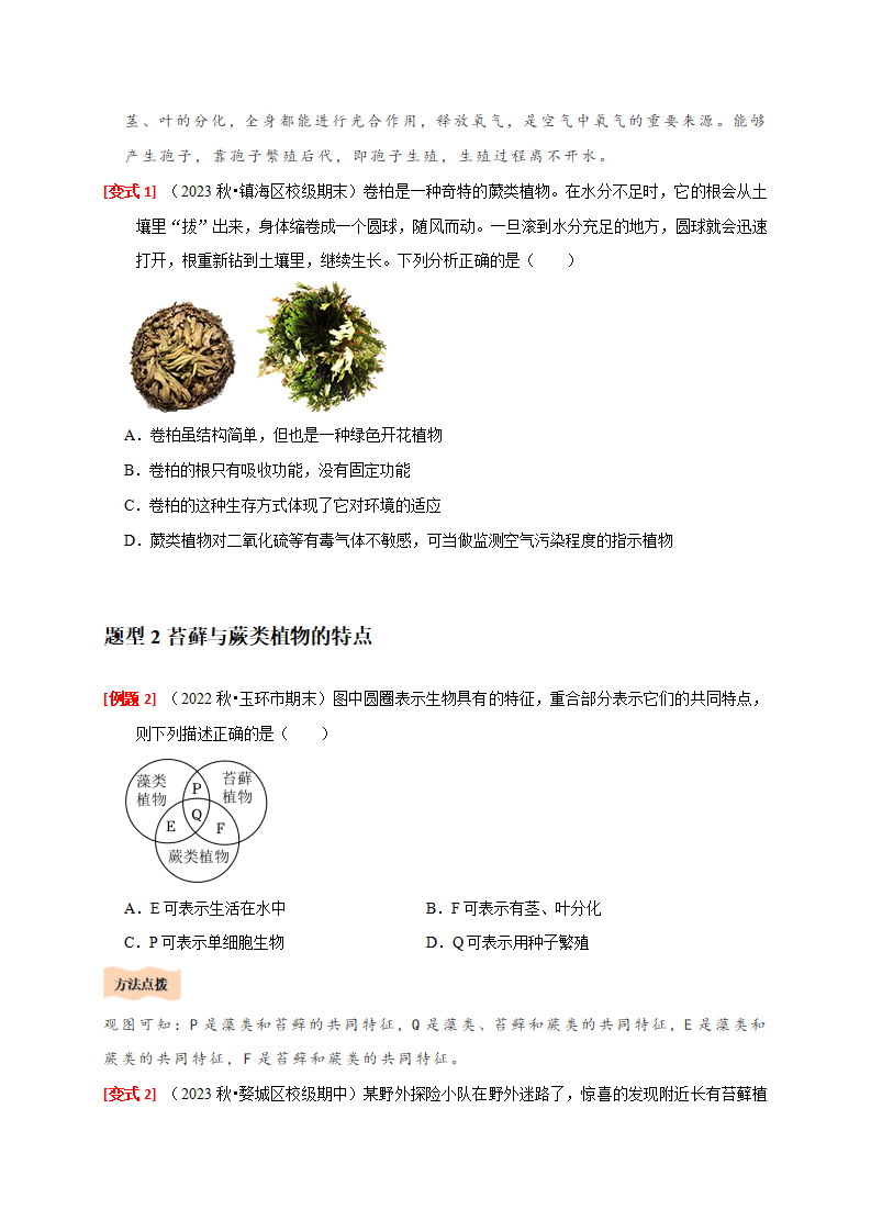 2.2 形形色色的植物（原卷版）1083_05.png