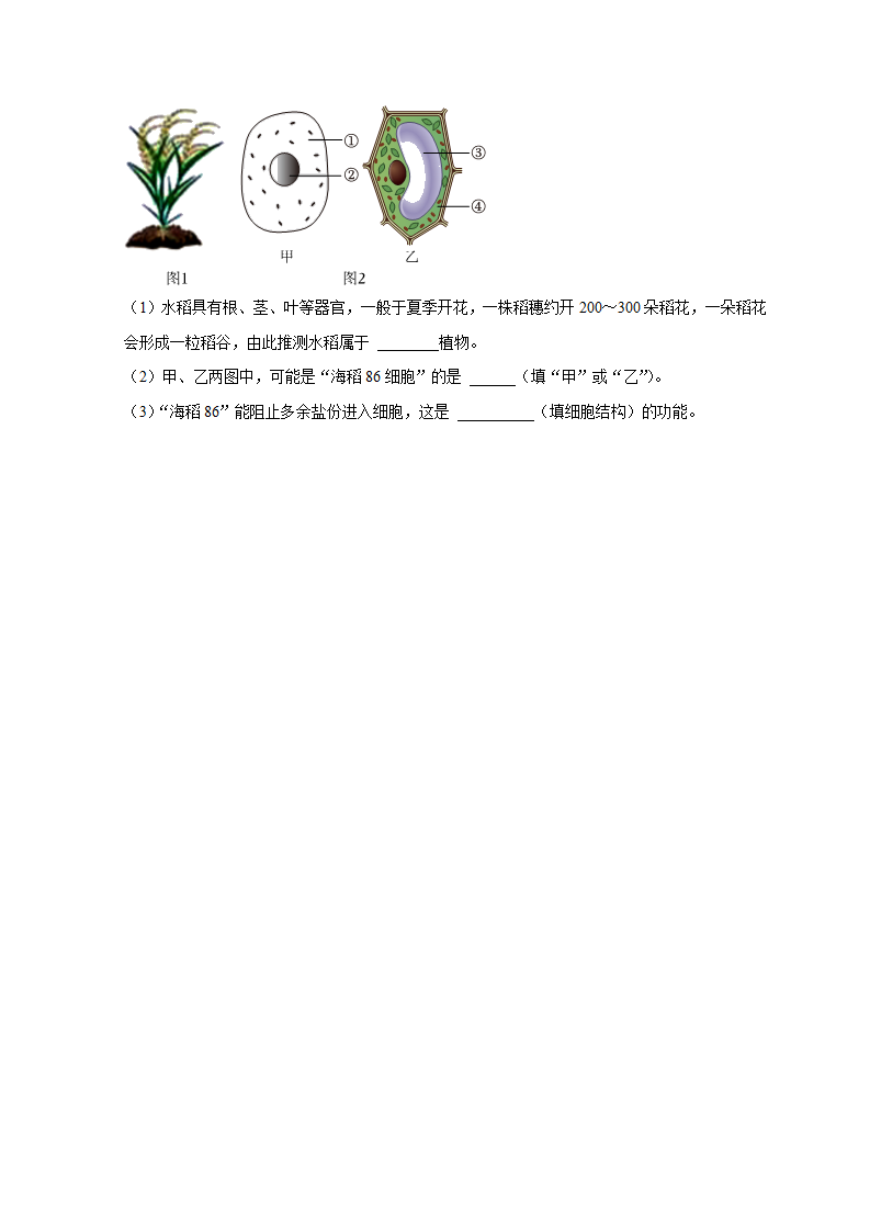 2.2 形形色色的植物（原卷版）1083_11.png