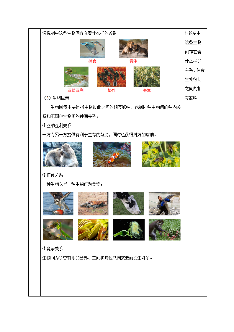2.5 生物的多样性（第1课时）（教学设计）-（浙教版）1098_04.png