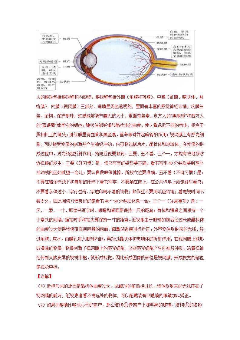 2.6 透镜和视觉（解析版）0837_22.png
