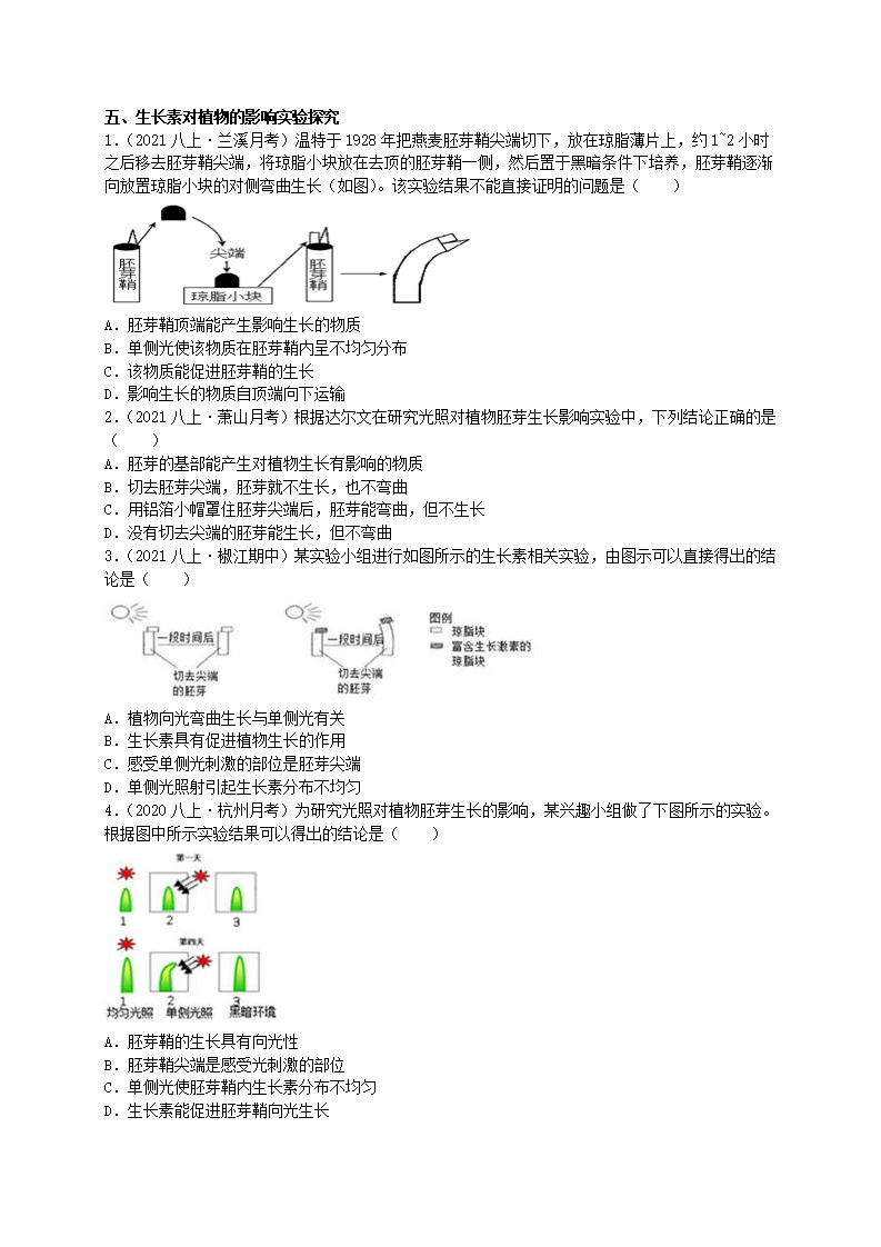 3.1 植物生命活动的调节（原卷版（浙教版）1995_16.png