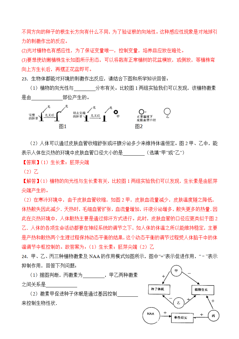 3.1 植物生命活动的调节-八年级科学上册浙教版）（解析版）2823_14.png