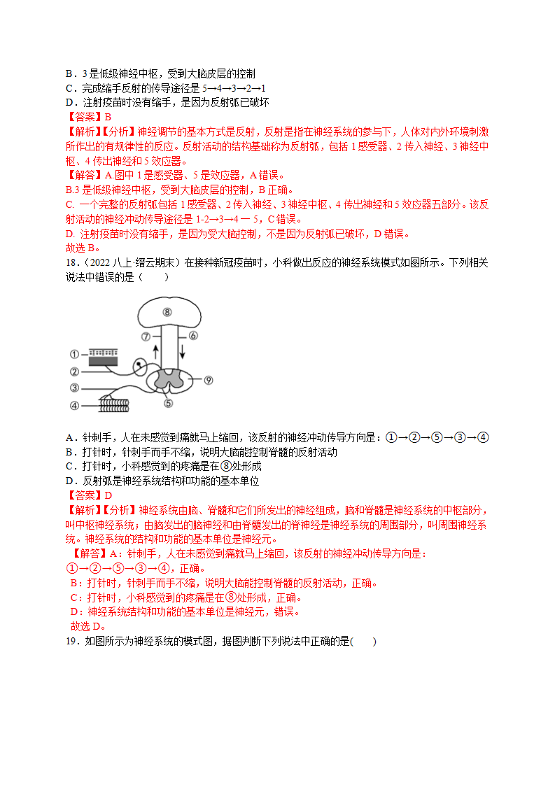 3.3 神经调节解析版1990_16.png