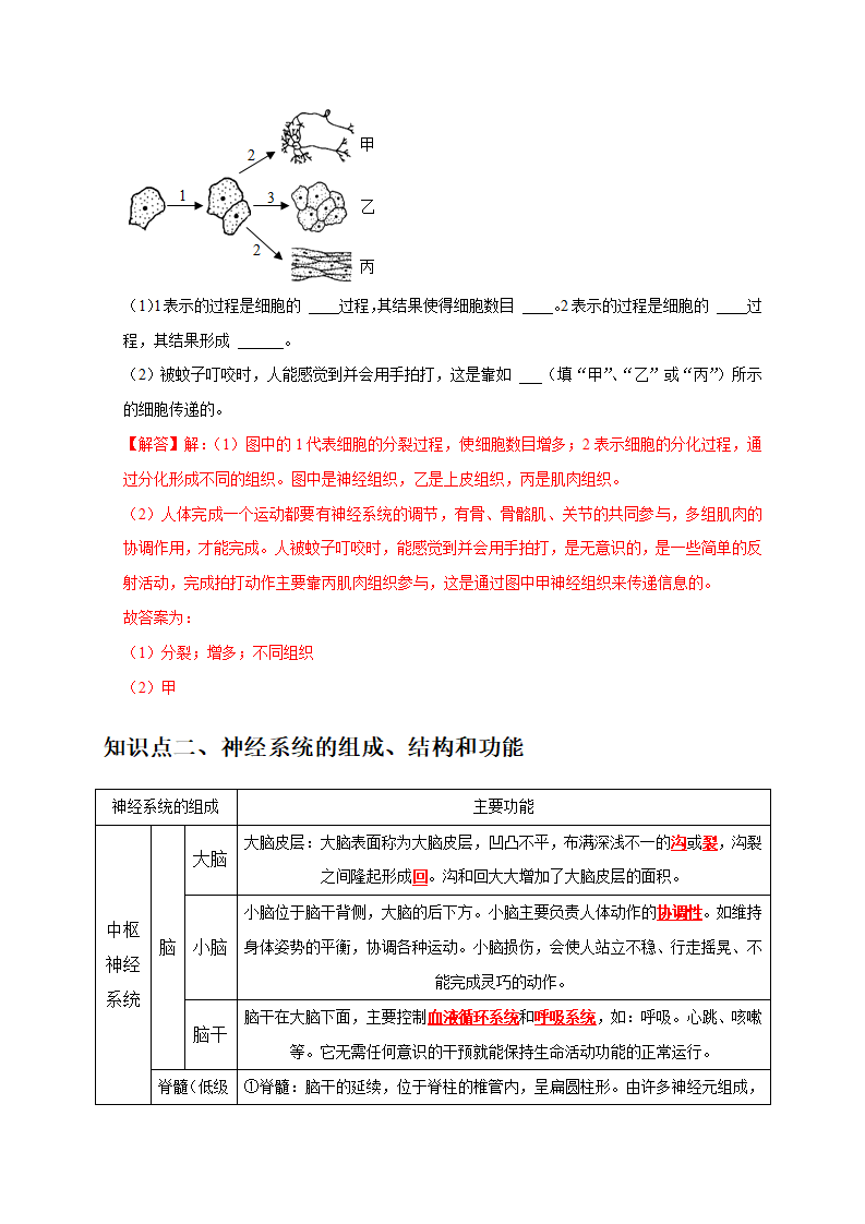3.3 神经调节 （解析版）3058_04.png