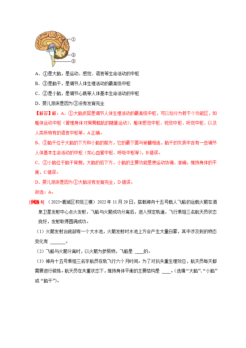 3.3 神经调节 （解析版）3058_07.png