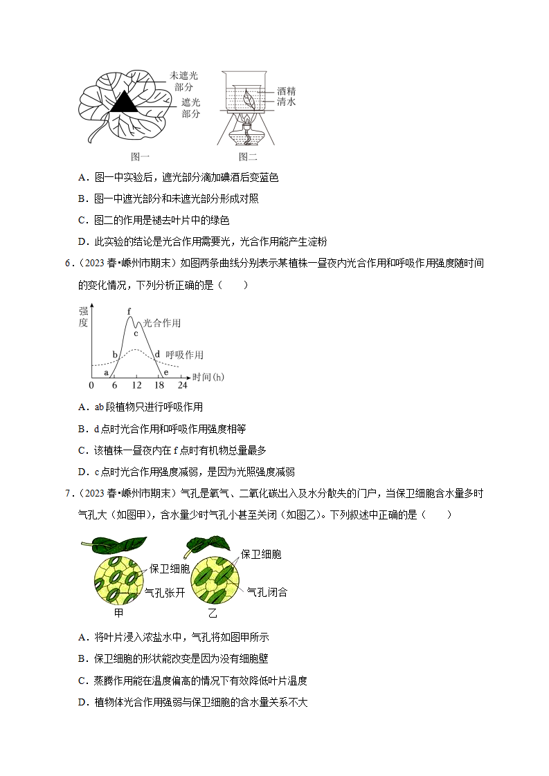 3.5-3.6 生物的呼吸和呼吸作用 光合作用原卷版2774_14.png