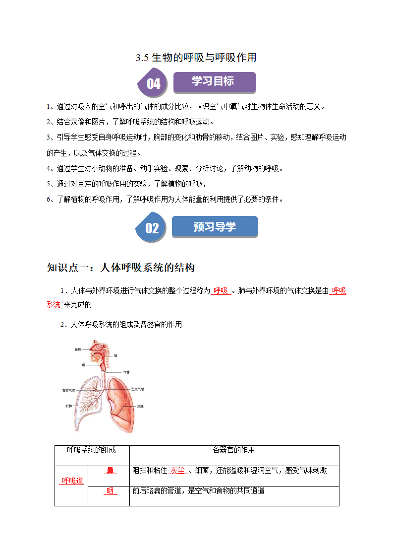 3.5生物的呼吸与呼吸作用（解析版）2616_01.png