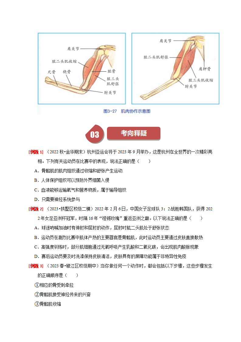 3.5人体的运动系统与保健（原卷版）2253_03.png