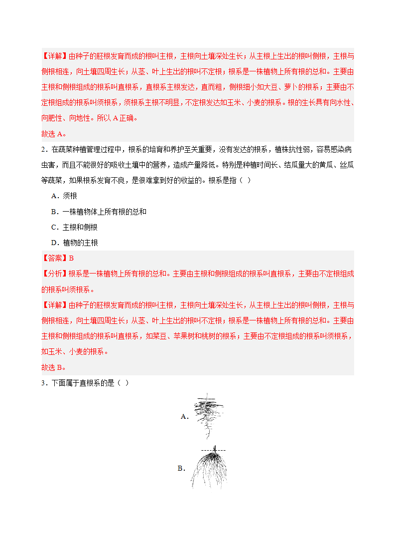 4.1 土壤的成分（导学案）-（浙教版）（教师版）2663_09.png