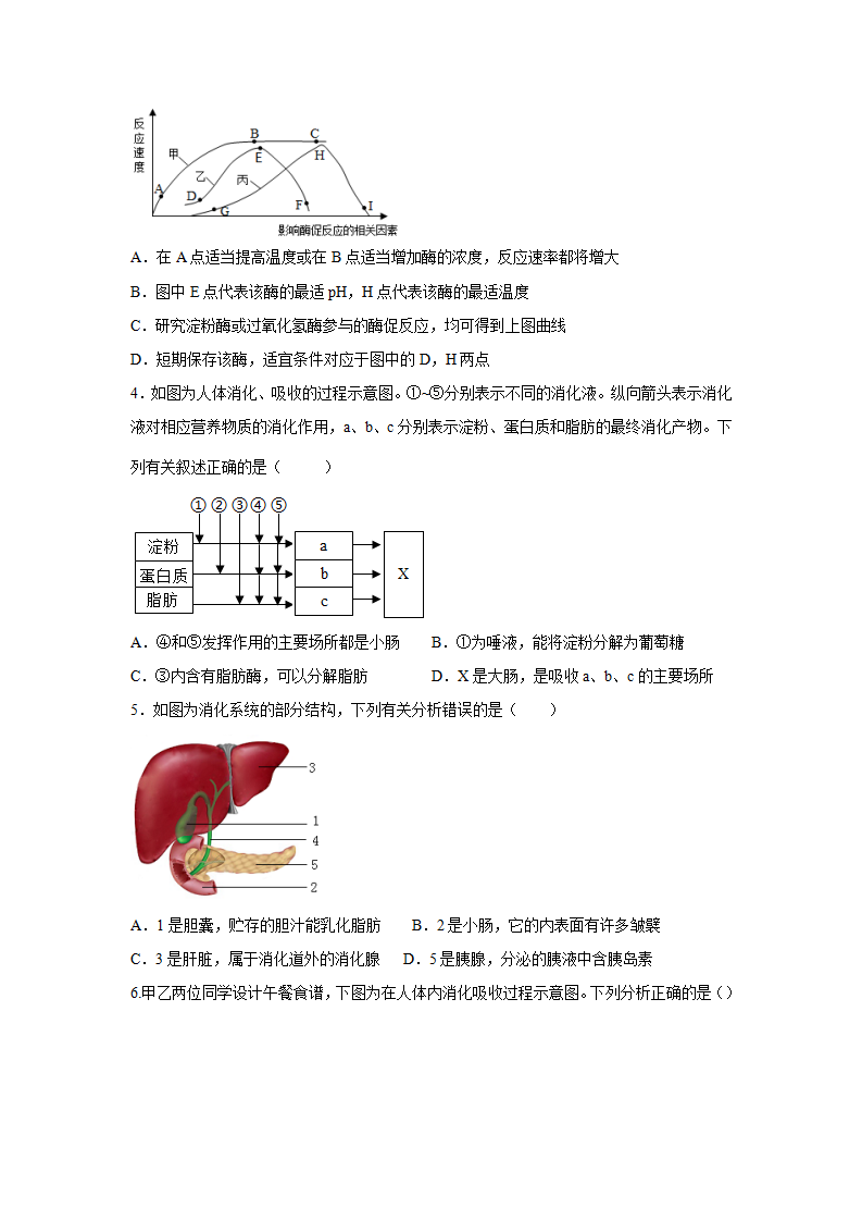 4.2食物的消化与吸收（练习）（原卷版）1505_02.png