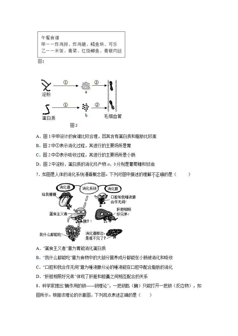 4.2食物的消化与吸收（练习）（原卷版）1505_03.png