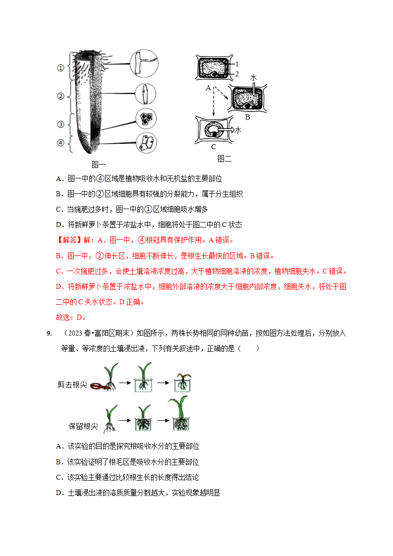 4.3植物的根与物质吸收（解析版）2604_14.png