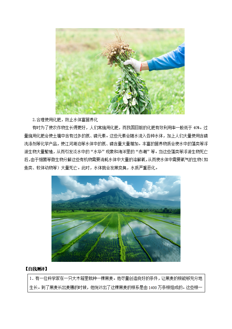 4.3 植物的根与物质吸收（第2课时）（导学案）-（浙教版）（教师版）2660_04.png