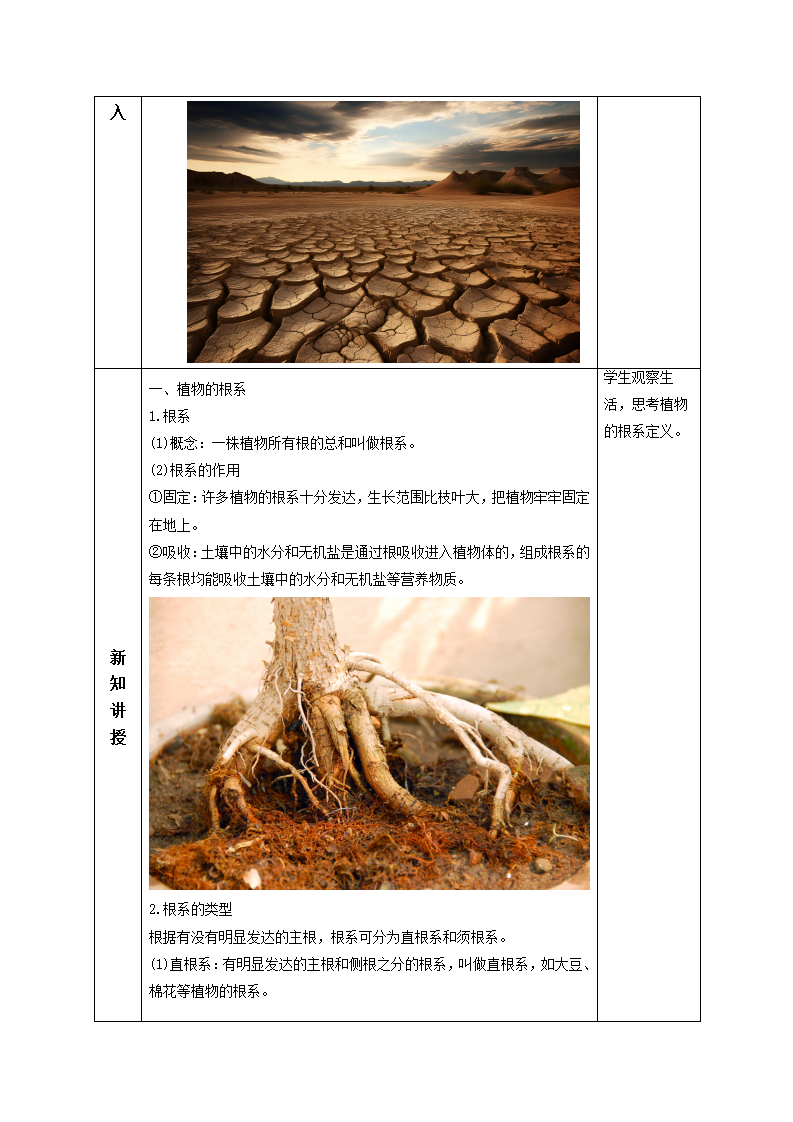 4.3 植物的根与物质吸收（第1课时）（教学设计）-（浙教版）2724_02.png