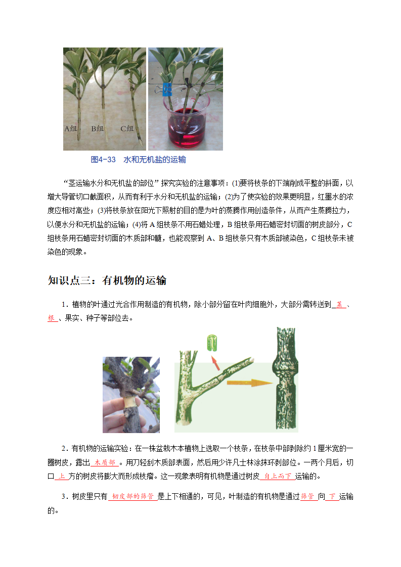 4.4植物的茎与物质运输（解析版）2603_04.png
