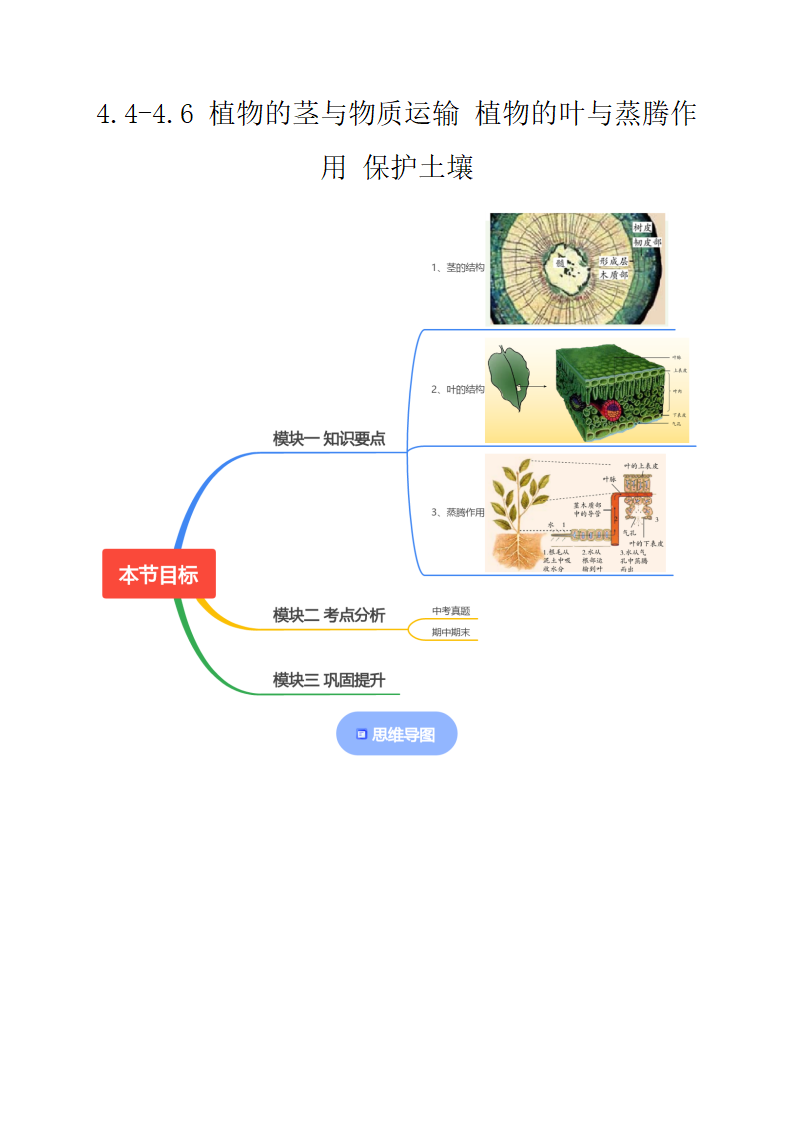 4.4-4.6 植物的茎与物质运输 植物的叶与蒸腾作用 保护土壤原卷版2765_01.png