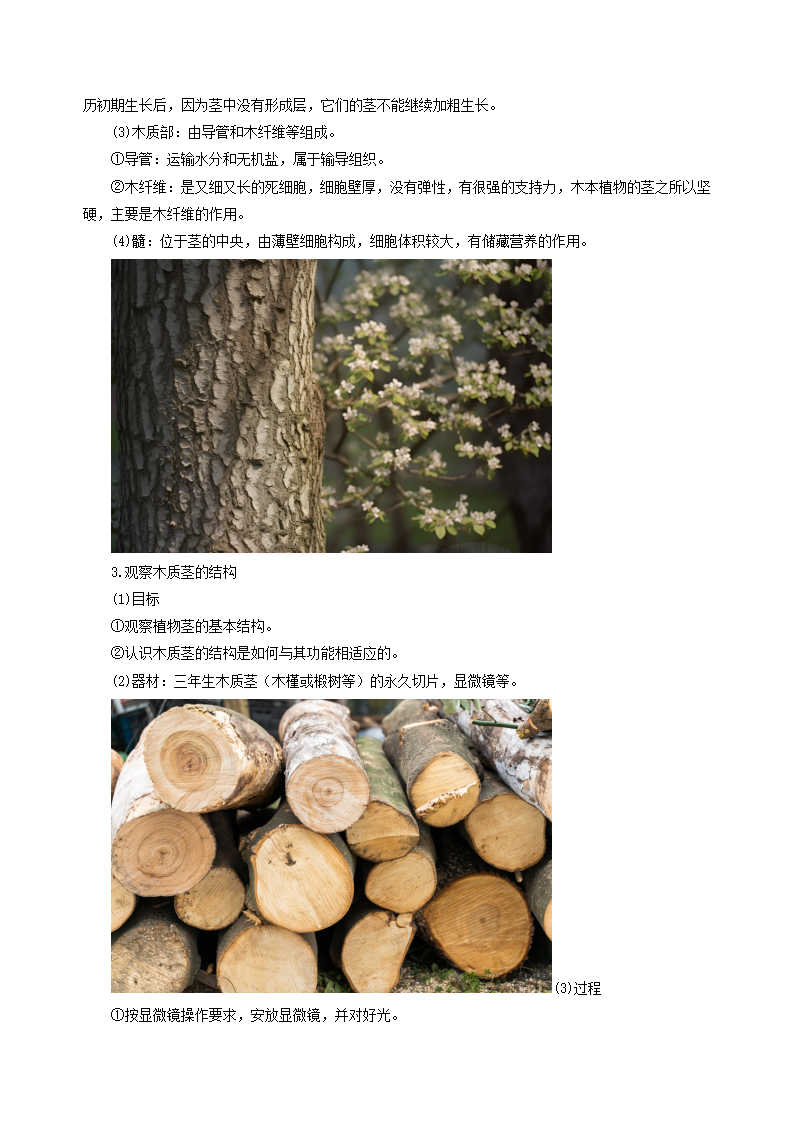 4.4 植物的茎与物质运输（导学案）-（浙教版）（教师版）2622_03.png