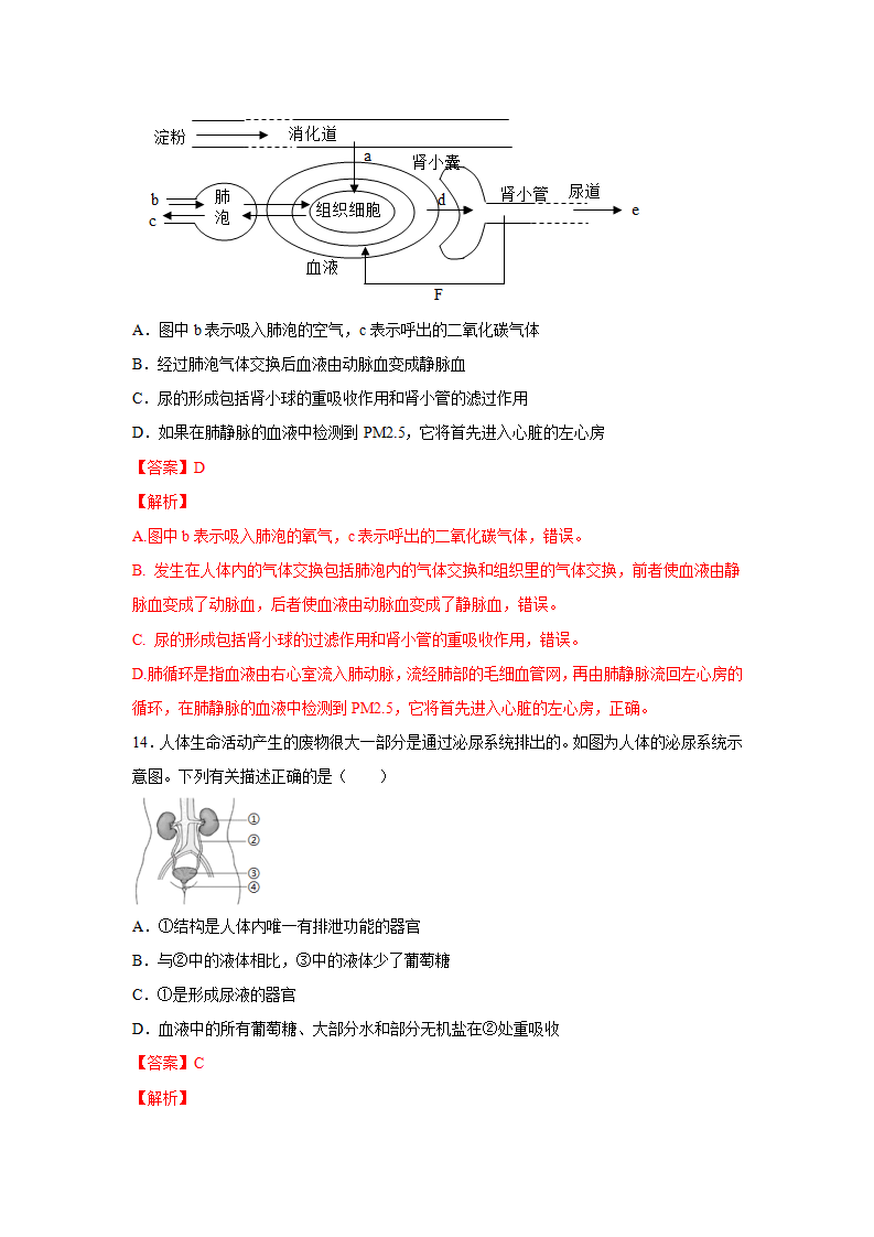 4.5体内物质的动态平衡（练习）（解析版）1500_10.png