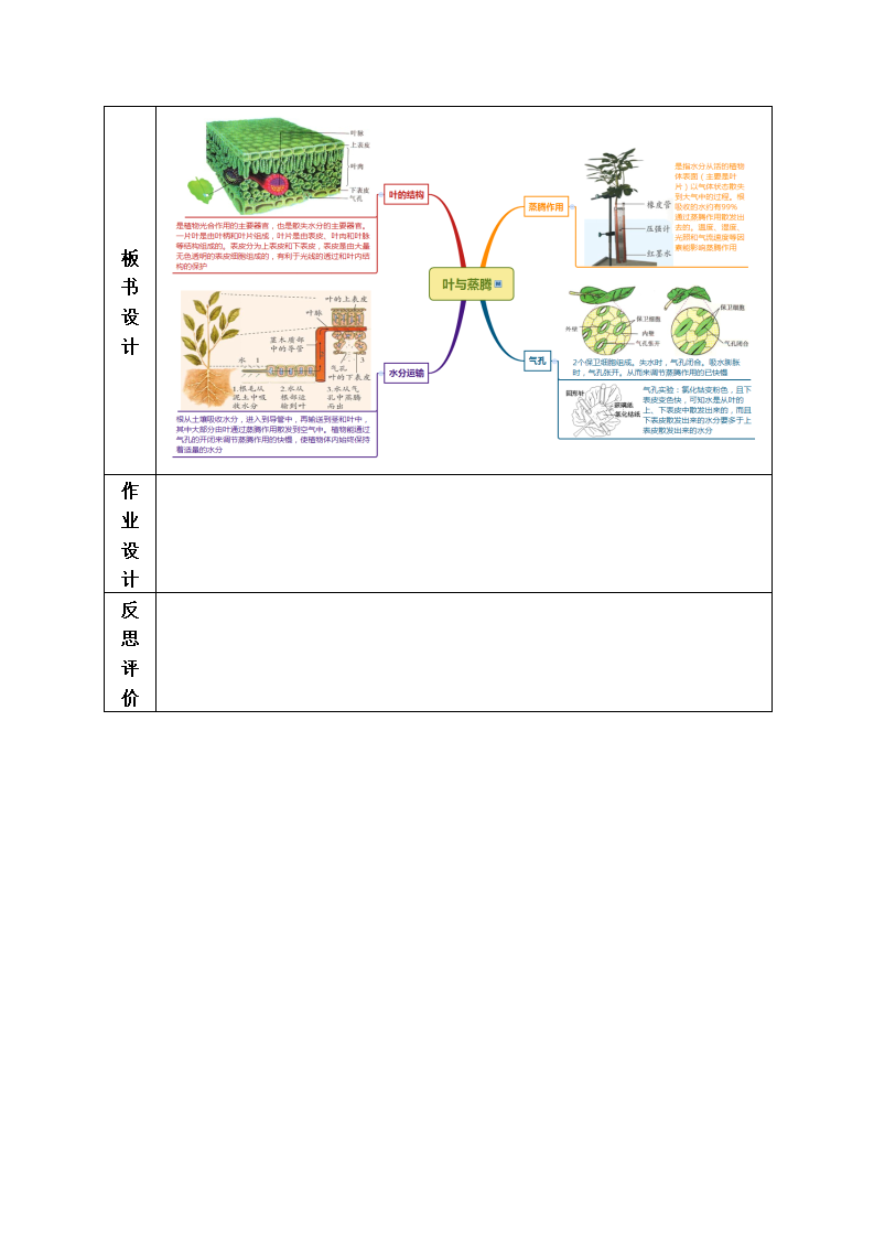 4.5 植物的叶与蒸腾作用（教学设计）-（浙教版）2727_09.png