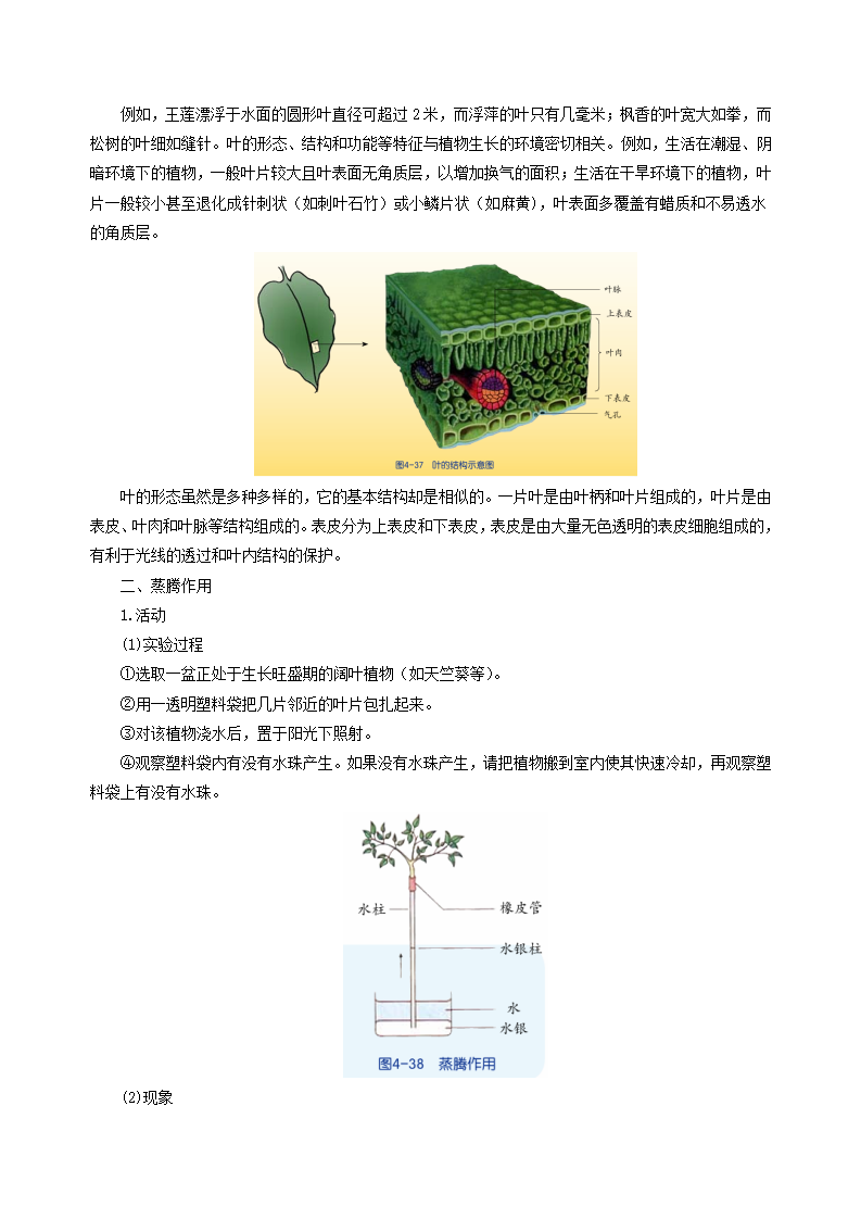 4.5 植物的叶与蒸腾作用（导学案）-（浙教版）（学生版）2655_02.png