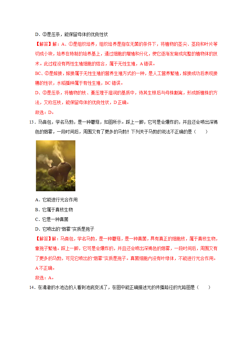 2023-2024学年浙江省七年级期中考试模拟试卷（解析版）2194_07.png