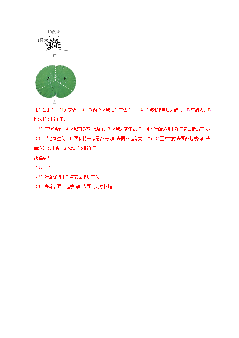第1章《探索自然的科学》单元练习（解析版）1059_16.png