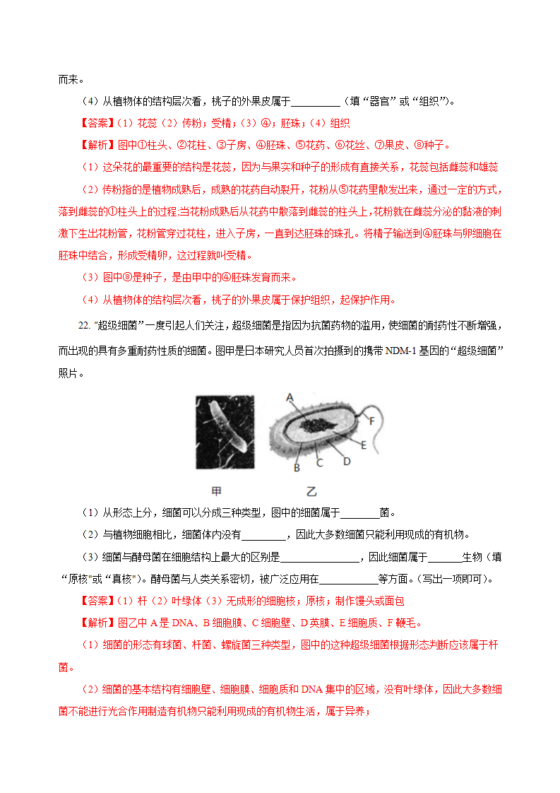 第1章 代代相传的⽣命（单元测试）-（浙教版） （解析版）0867_11.png
