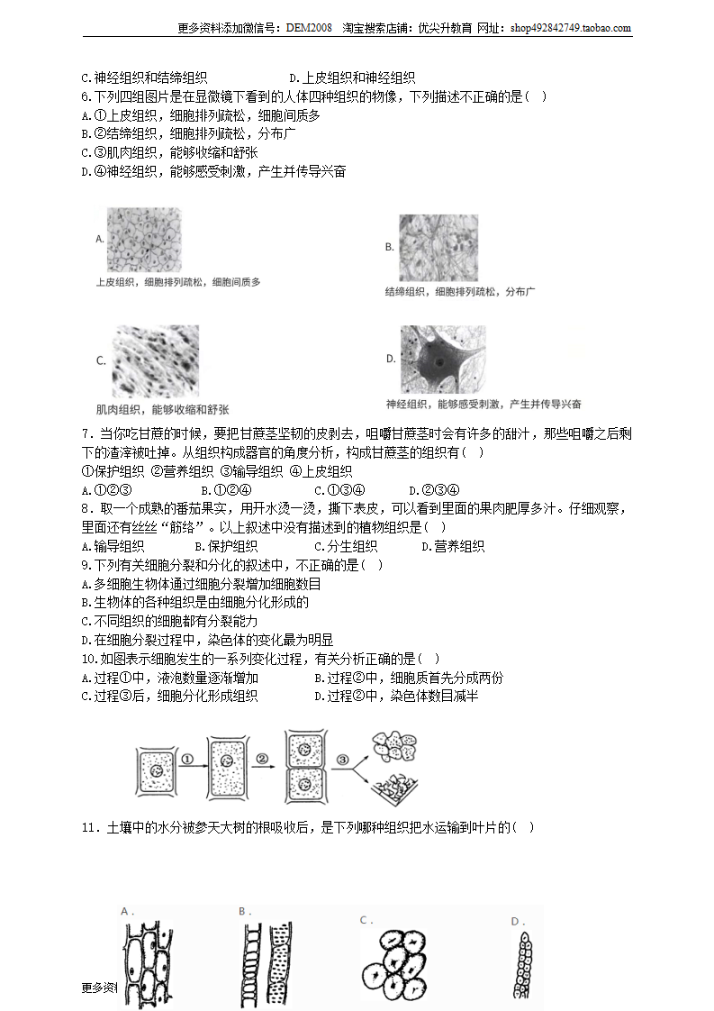 第3节 生物体的结构层次 （原卷版）0218_02.png