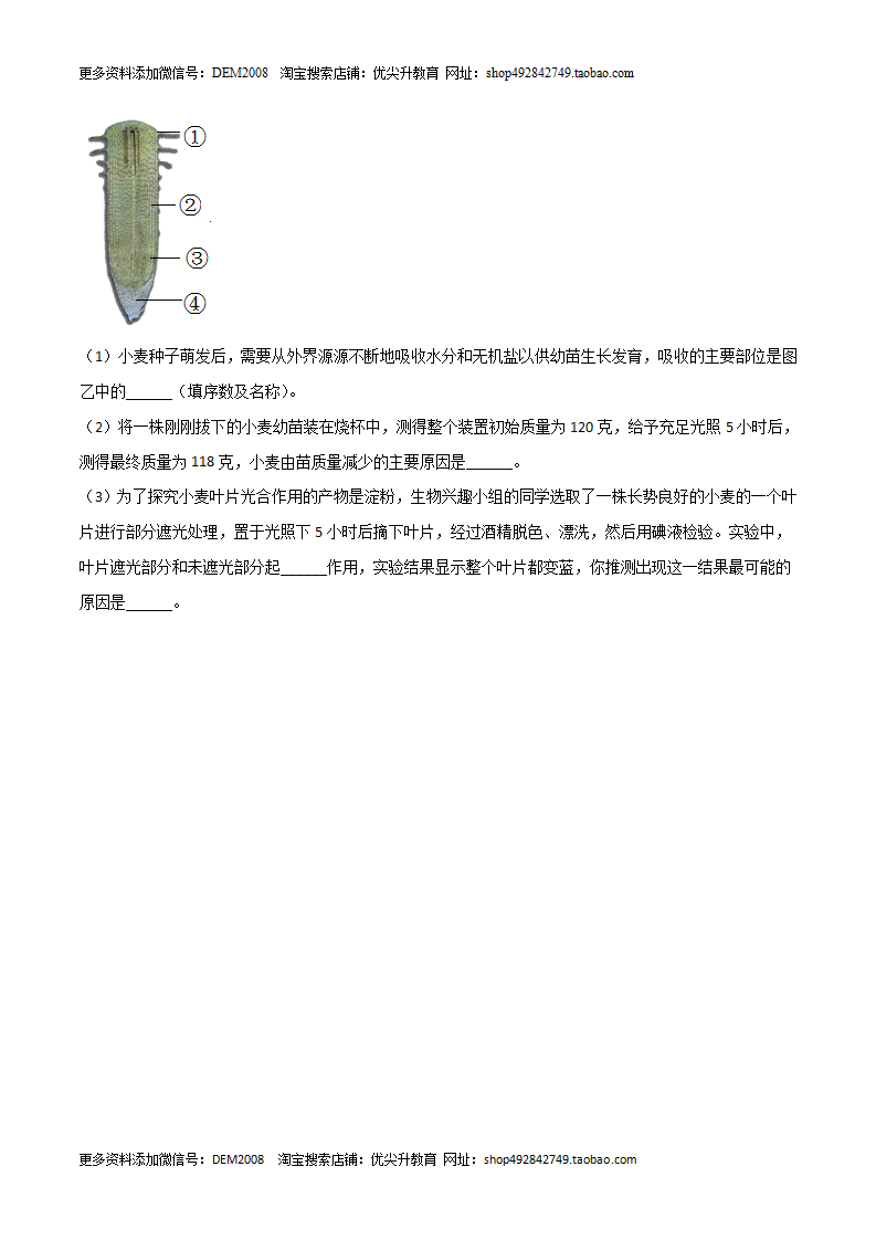 第04单元   植物与土壤单元测试（B卷·提升能力）（原卷板）1786_13.png
