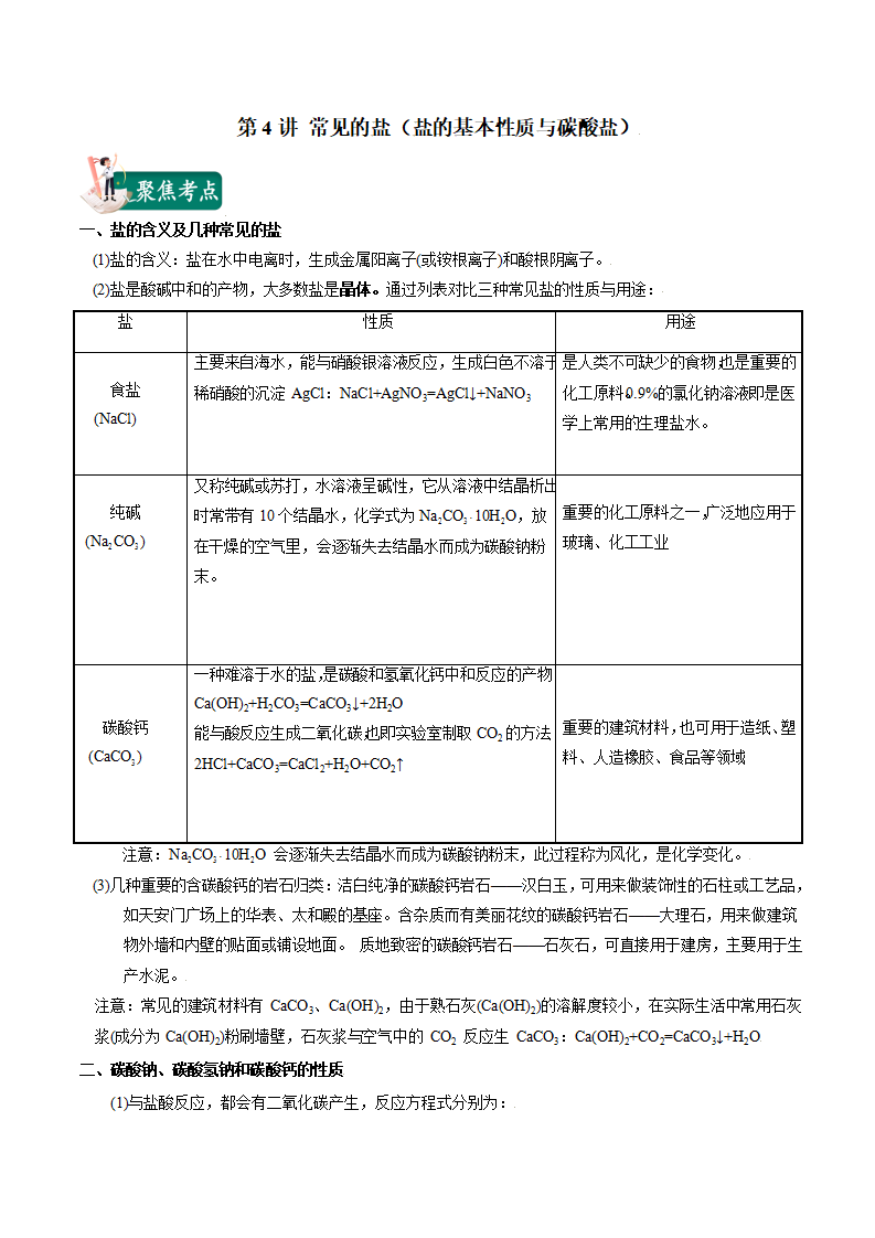 第4讲 常见的盐（盐的基本性质与碳酸盐）（解析版）1372_01.png
