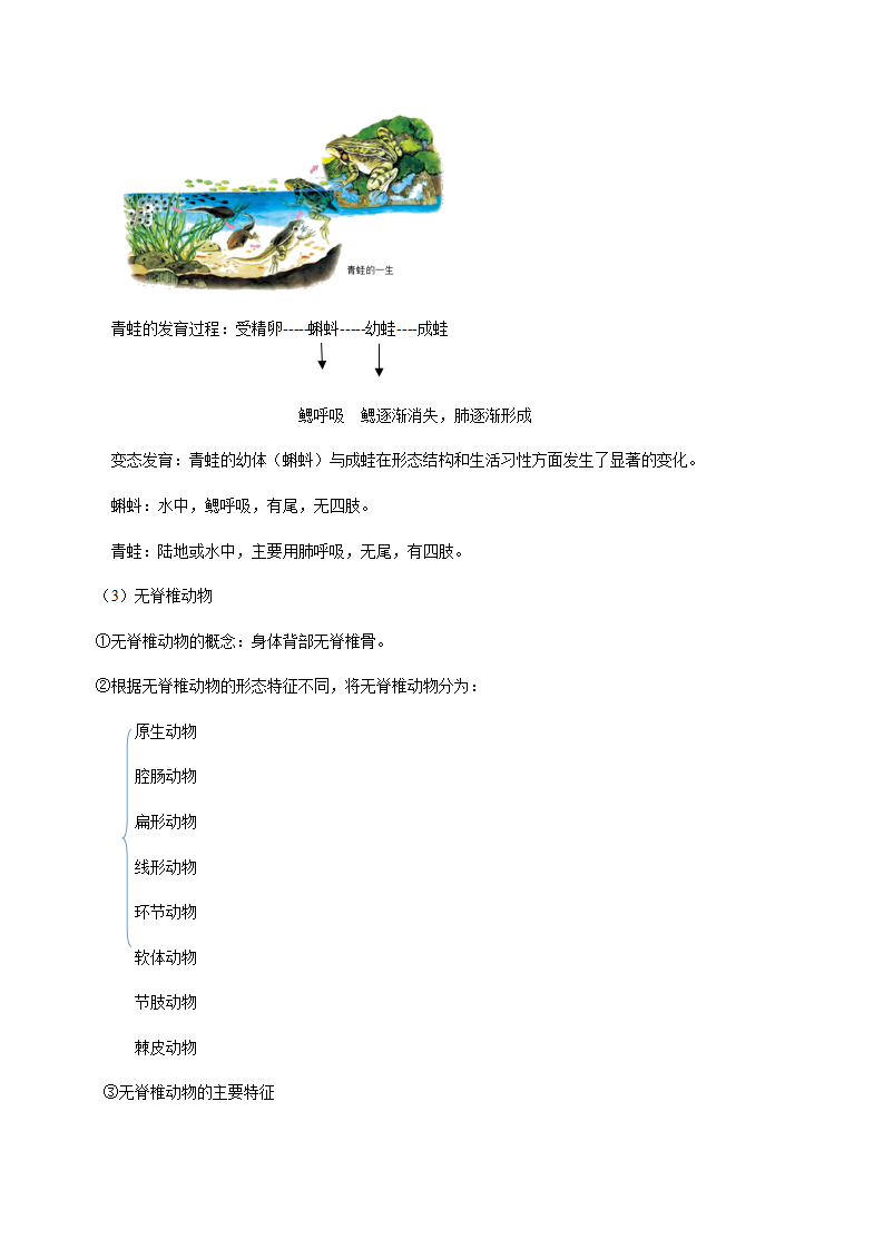第6讲 常见的动物（解析版）0070_03.png