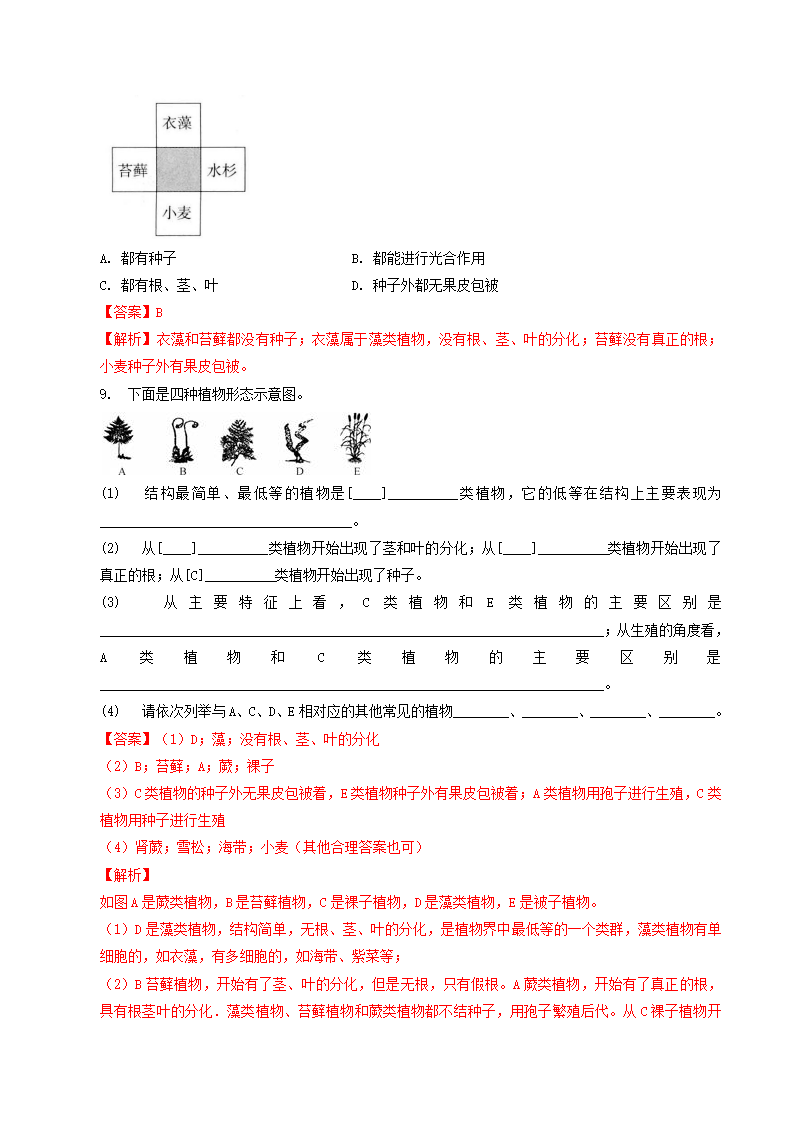 第5课 常见的植物（解析版）0931_11.png