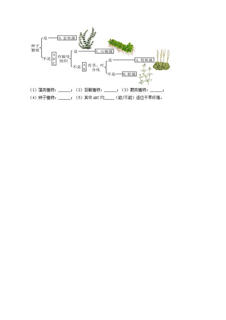 第5课 常见的植物（原卷版）0930_09.png