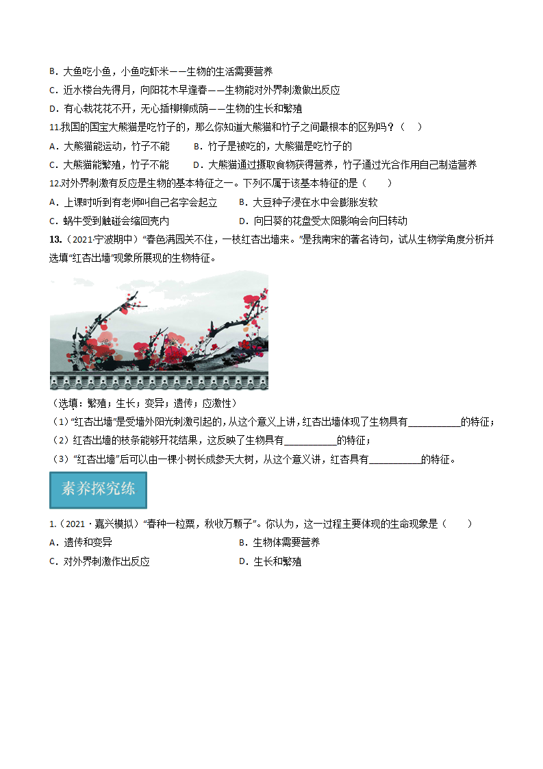 第06讲 《生物与非生物》（分层练习）-（浙教版）（原卷版）0154_06.png