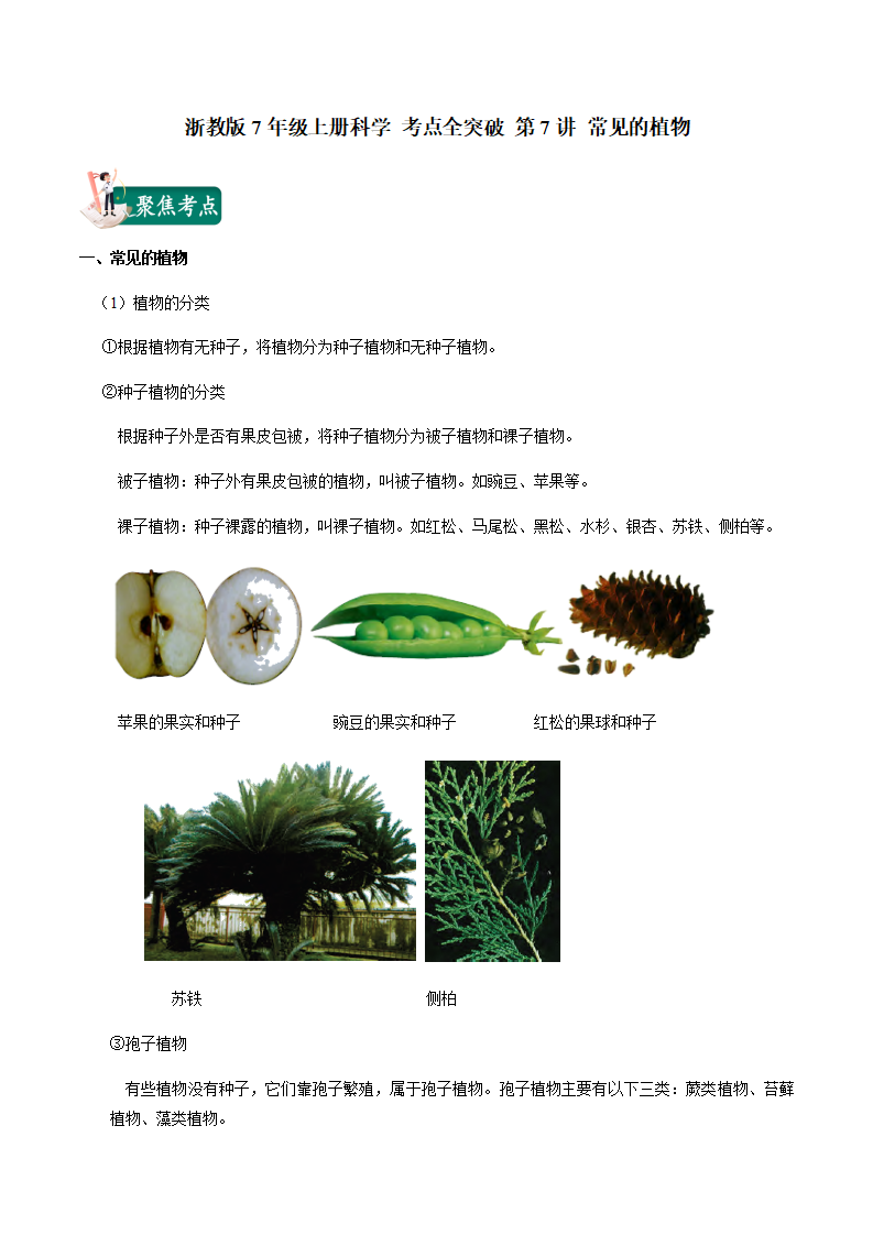 第7讲 常见的植物（解析版）0065_01.png