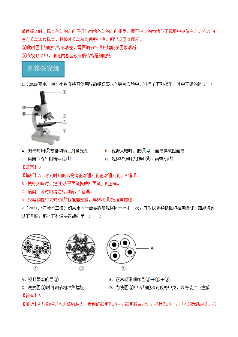 第07讲 《细胞》（分层练习）-（浙教版）（解析版）0162_15.png