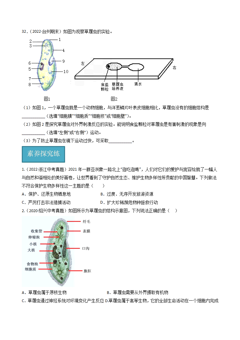 第11讲 《物种的多样性》（分层练习）-（浙教版）（原卷版）0151_07.png