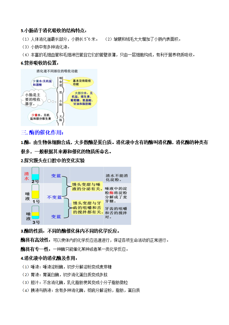 第26课 食物的消化与吸收（解析版）2417_04.png