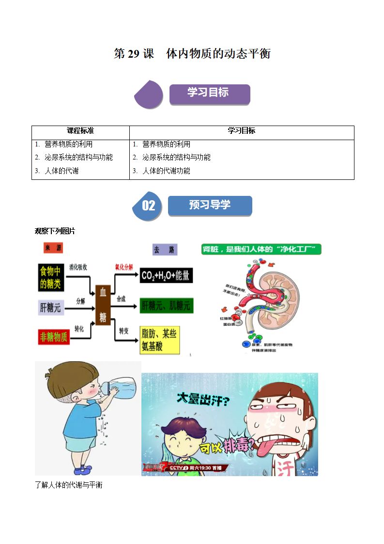 第29课 体内物质的动态平衡（原卷版）2413_01.png