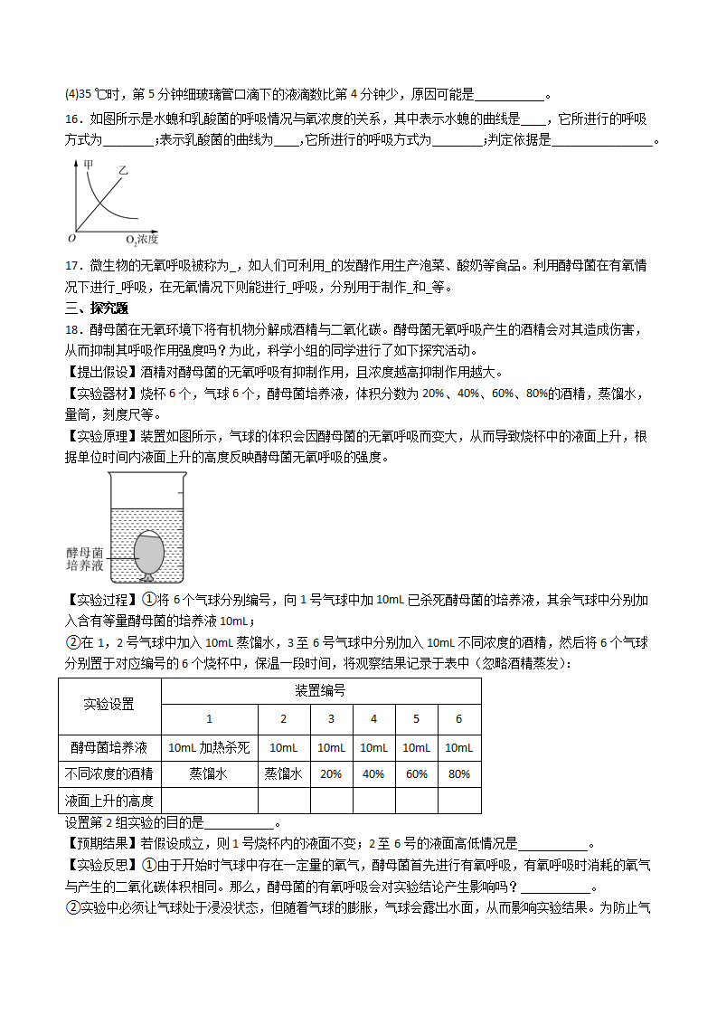 第28课 能量的获得（解析版）2407_07.png