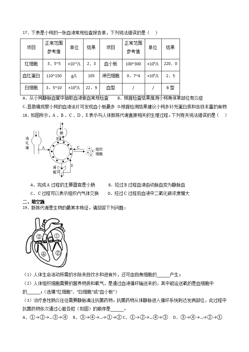 第27课 体内物质的运输（原卷版）2415_11.png