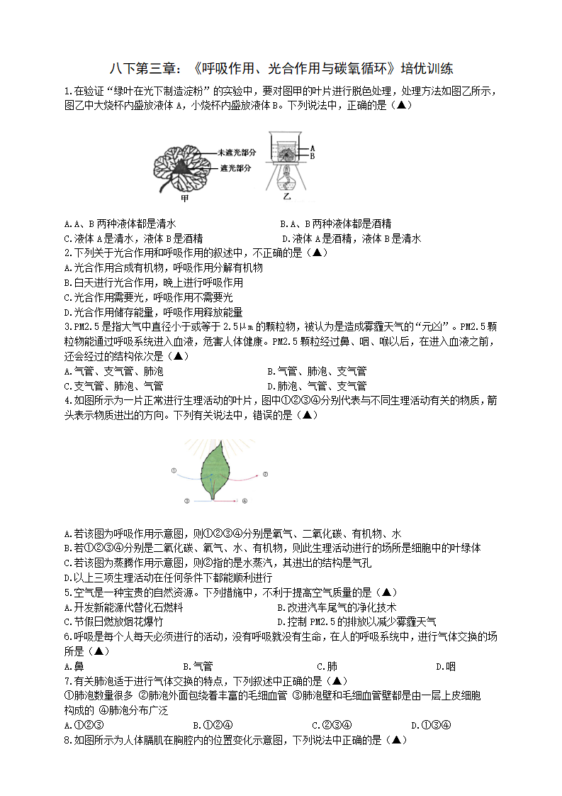第三章 《呼吸作用、光合作用与碳氧循环》培优训练（原卷版）0446_01.png
