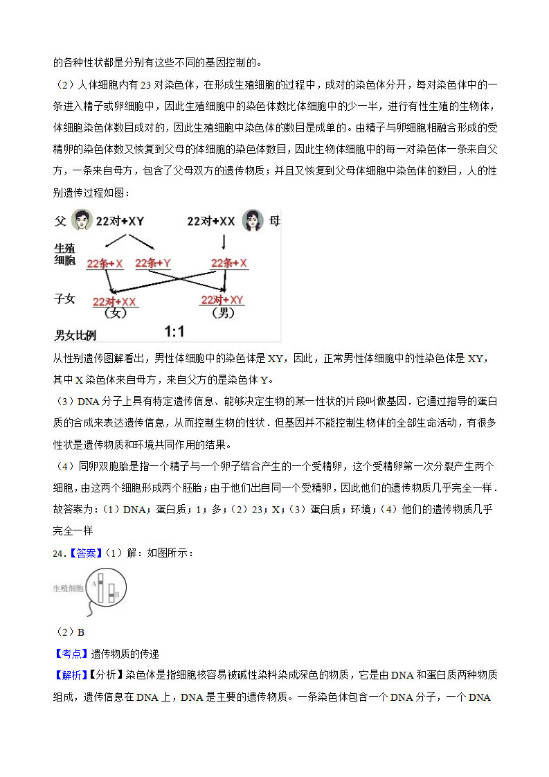 浙教版九下1.5 遗传与进化同步练习学生版1269_21.png