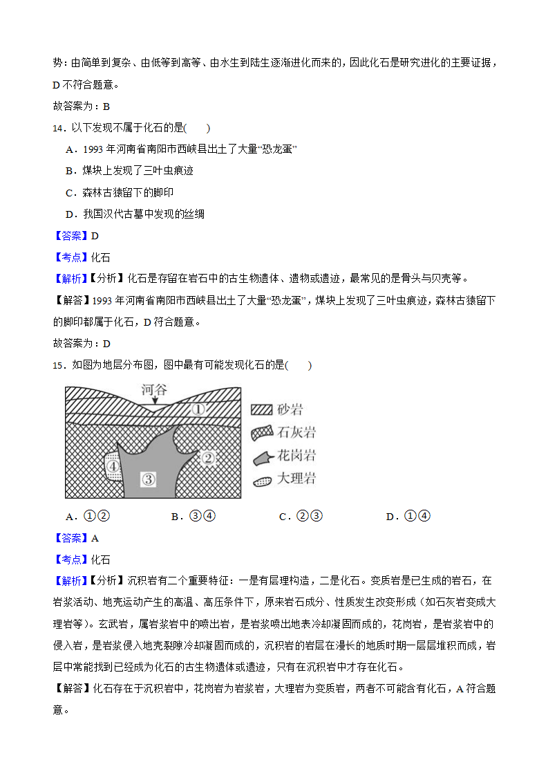 浙教版九下1.4生物的进化同步练习教师版1273_09.png