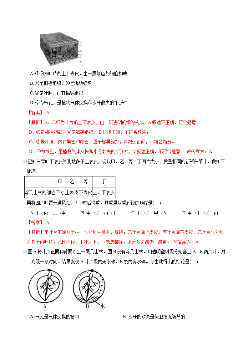 专题 09 植物的茎与叶及其作用（解析版）1643_12.png