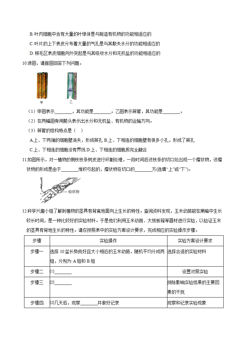 专题 09 植物的茎与叶及其作用（原卷版）1641_03.png