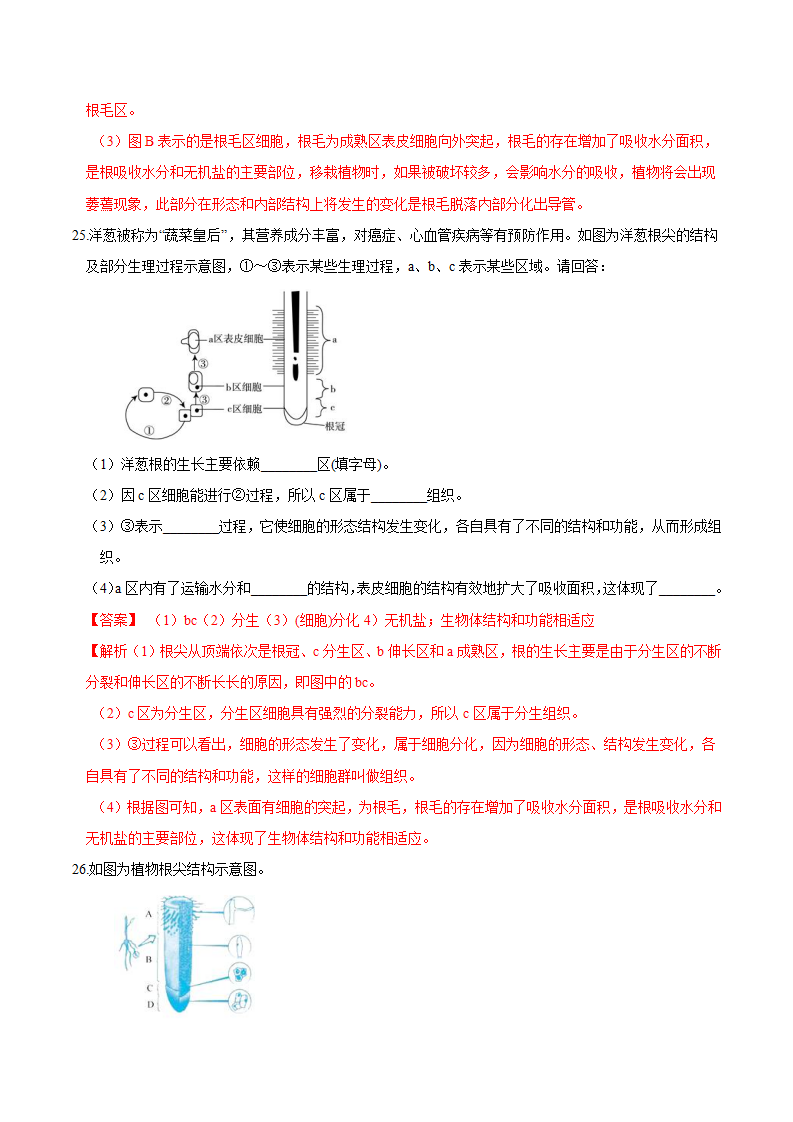 专题 08 土壤、根的结构与物质吸收（解析版）1645_13.png