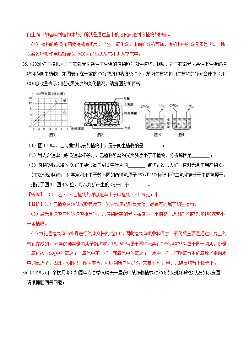 专题 07 呼吸作用于光合作用（解析版）1648_21.png
