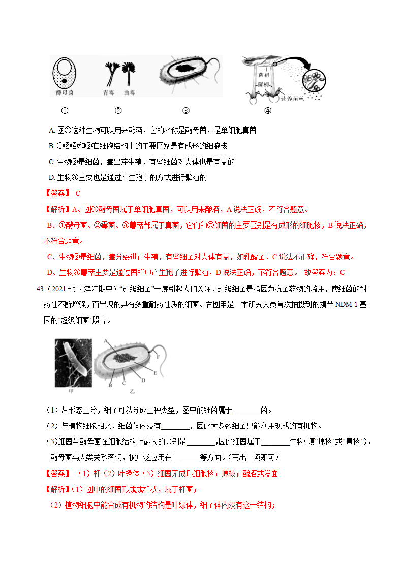 专题02 植物与微生物的繁殖生长发育（解析版）0656_23.png